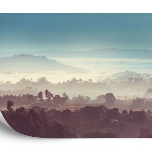 Papier Peint Forêt Dans Le Brouillard – Image 2