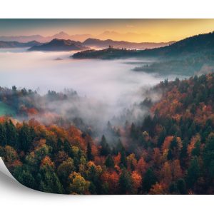 Papier Peint Forêt Dans Le Brouillard – Image 2