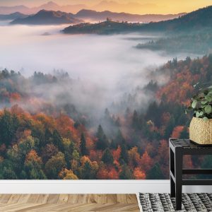 Papier Peint Forêt Dans Le Brouillard – Image 7