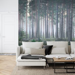 Papier Peint Forêt Dans Le Brouillard – Image 6