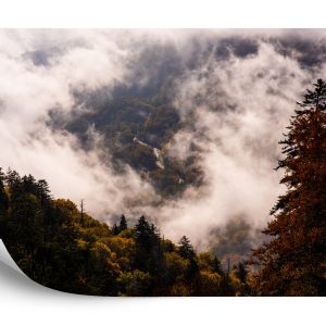 Papier Peint Forêt Dans Le Brouillard – Image 2