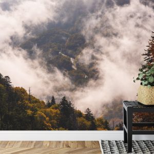 Papier Peint Forêt Dans Le Brouillard – Image 7