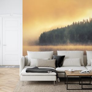 Papier Peint Carte Du Vieux Monde – Image 6