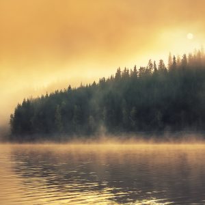 Papier Peint Carte Du Vieux Monde – Image 1