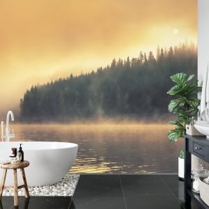 Papier Peint Carte Du Vieux Monde – Image 5