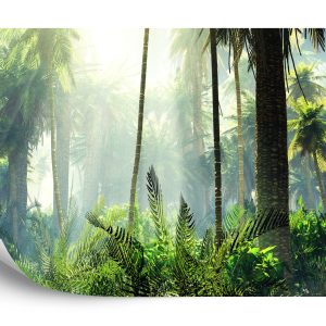 Papier Peint Forêt Dans Le Brouillard – Image 2