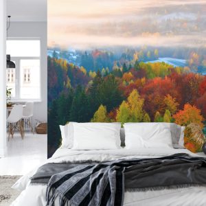 Papier Peint Forêt Dans Le Brouillard – Image 8