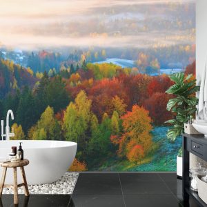 Papier Peint Forêt Dans Le Brouillard – Image 5