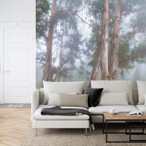 Papier Peint Forêt Dans Le Brouillard – Image 6