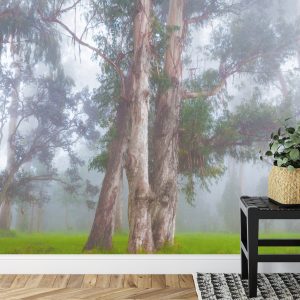 Papier Peint Forêt Dans Le Brouillard – Image 7