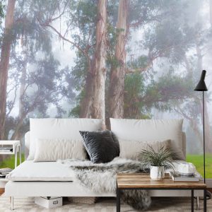 Papier Peint Forêt Dans Le Brouillard – Image 3