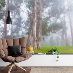 Papier Peint Forêt Dans Le Brouillard – Image 4