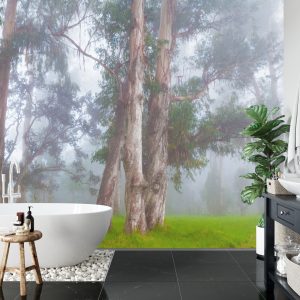 Papier Peint Forêt Dans Le Brouillard – Image 5