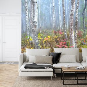 Papier Peint Forêt Dans Le Brouillard – Image 6