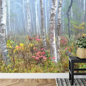 Papier Peint Forêt Dans Le Brouillard – Image 7