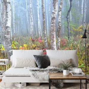 Papier Peint Forêt Dans Le Brouillard – Image 3