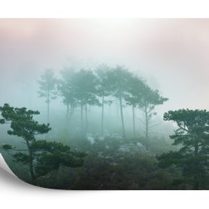 Papier Peint Forêt Dans Le Brouillard – Image 2