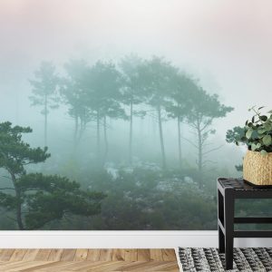 Papier Peint Forêt Dans Le Brouillard – Image 7