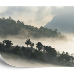 Papier Peint Forêt Dans Le Brouillard – Image 2