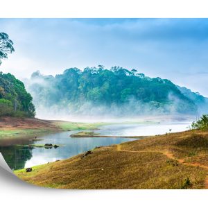 Papier Peint Forêt Dans Le Brouillard – Image 2
