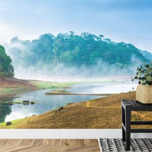 Papier Peint Forêt Dans Le Brouillard – Image 7