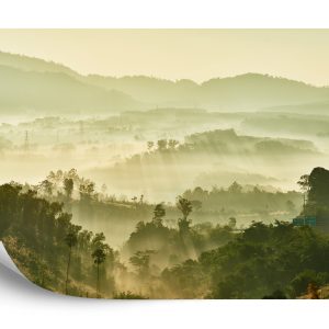 Papier Peint Forêt Dans Le Brouillard – Image 2