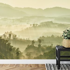 Papier Peint Forêt Dans Le Brouillard – Image 7
