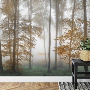 Papier Peint Forêt Dans Le Brouillard – Image 7
