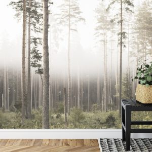 Papier Peint Forêt Dans Le Brouillard – Image 7