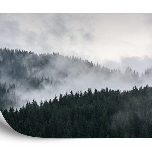 Papier Peint Forêt Dans Le Brouillard – Image 2