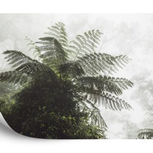 Papier Peint Forêt Dans Le Brouillard – Image 2
