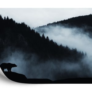 Papier Peint Ours Dans Les Montagnes – Image 2