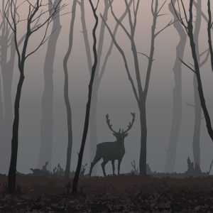 Papier Peint Cerf Dans La Forêt – Image 1