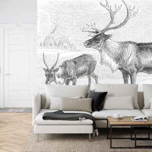 Papier Peint Cerf Vintage – Image 6