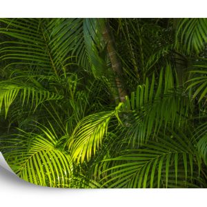 Papier Peint Feuilles De Palmier – Image 2