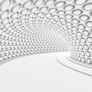 Papier Peint Forêt Dans Le Brouillard – Image 1