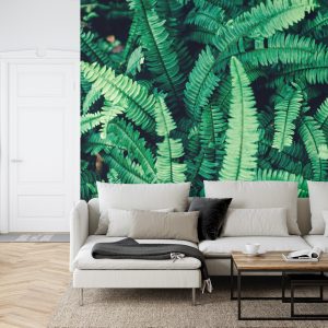 Papier Peint Feuilles De Fougère – Image 6