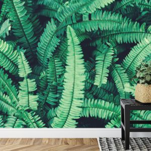 Papier Peint Feuilles De Fougère – Image 7