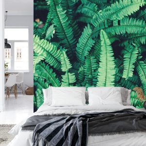 Papier Peint Feuilles De Fougère – Image 8