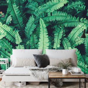 Papier Peint Feuilles De Fougère – Image 3