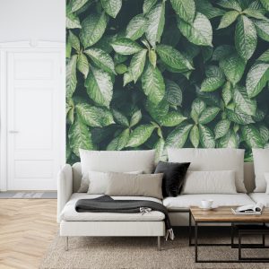 Papier Peint Feuilles Nature – Image 6