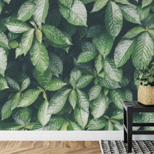 Papier Peint Feuilles Nature – Image 7