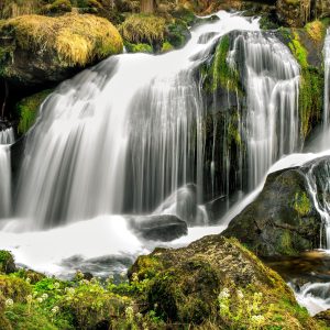 Papier Peint Cascade Dans La Forêt – Image 1