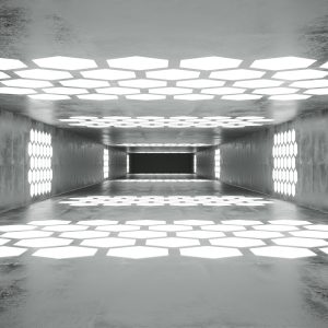 Papier Peint Forêt Dans Le Brouillard – Image 1