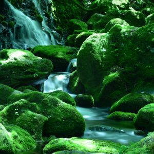 Papier Peint Cascade Rochers – Image 1