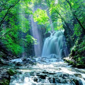 Papier Peint Cascade Dans La Forêt – Image 1
