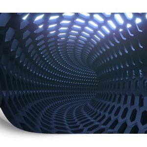 Papier Peint Forêt Dans Le Brouillard – Image 2