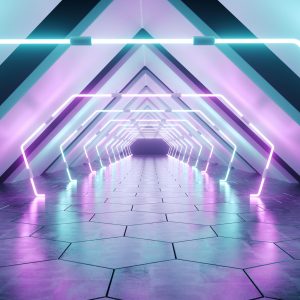 Papier Peint Forêt Dans Le Brouillard – Image 1