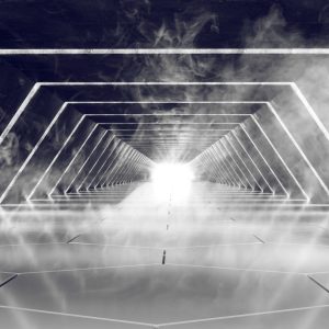 Papier Peint Forêt Dans Le Brouillard – Image 1