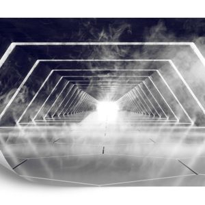 Papier Peint Forêt Dans Le Brouillard – Image 2